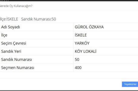 Oy Kullanım Yerleri
