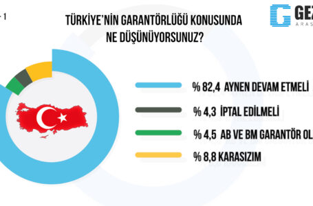 Araştırmanın Amacı ve Önemi