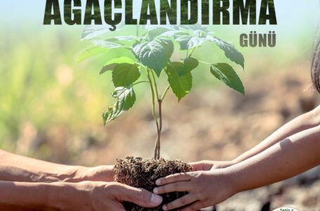 Ağaçlar isminizle büyüsün!