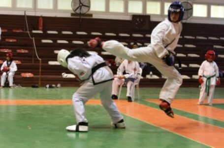 Taekwondocular 19 Mayıs anısına yarıştı