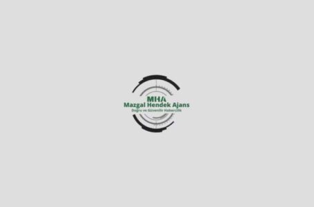 KKTC MMA (MIXED MARTIAL ARTS) MİLLİ TAKIMI, GAMMA AVRUPA MMA ŞAMPİYONASINDAN   1 GÜMÜŞ VE 1 BRONZ MADALYA İLE DÖNDÜ