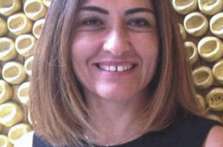 DAÜ KENT- AG “ŞÖMİNELİ EV” HAKKINDA AÇIKLAMALARDA BULUNDU