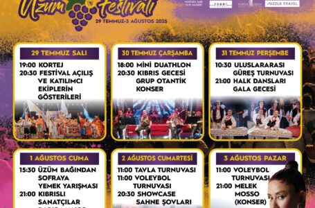 Mehmetçik’te Üzümle Büyüyen Bir Gelenek: 63. Festival Başlıyor