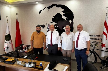 CUMHURBAŞKANI ERSİN TATAR’DAN SERDARLI’YA ZİYARET