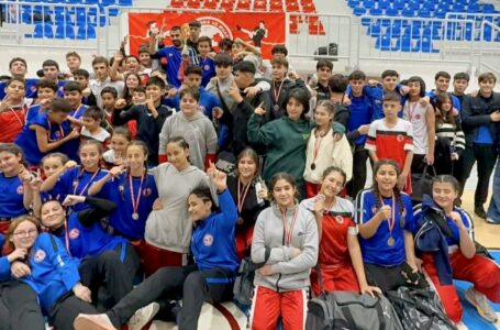 The Wolf Akademi’den büyük başarı