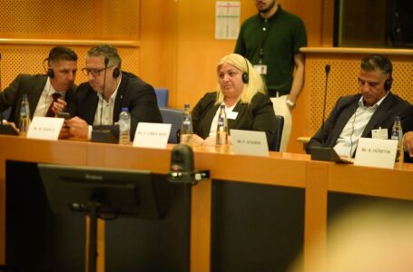 BAŞKAN FATMA ÇİMEN TUĞLU AVRUPA PARLAMENTOSU’NDA BÖLGEMİZİ TEMSİL ETTİ