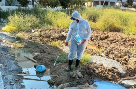 BATI NİL VİRÜSÜNE KARŞI SİVRİSİNEKLE MÜCADELE ÇALIŞMALARIMIZ DEVAM EDİYOR